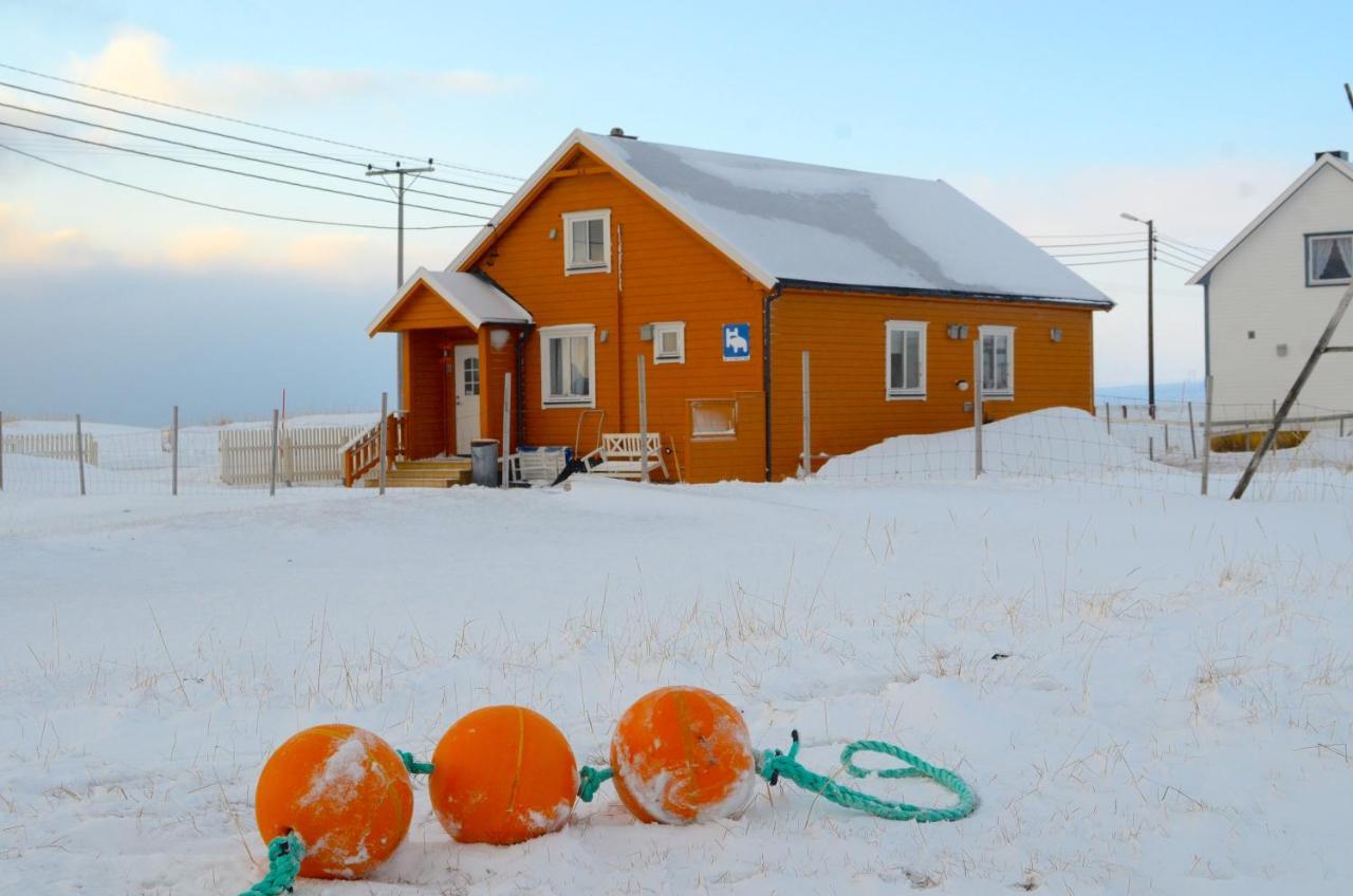 Ekker Island Arctic *