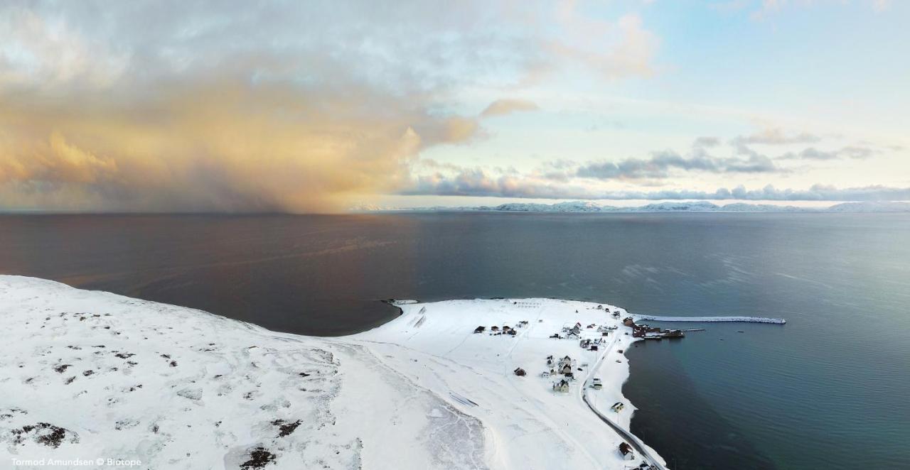 Ekker Island Arctic