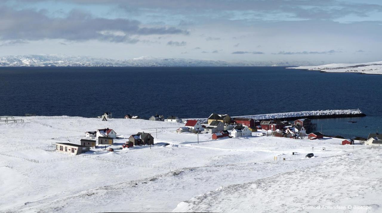 Ekker Island Arctic *