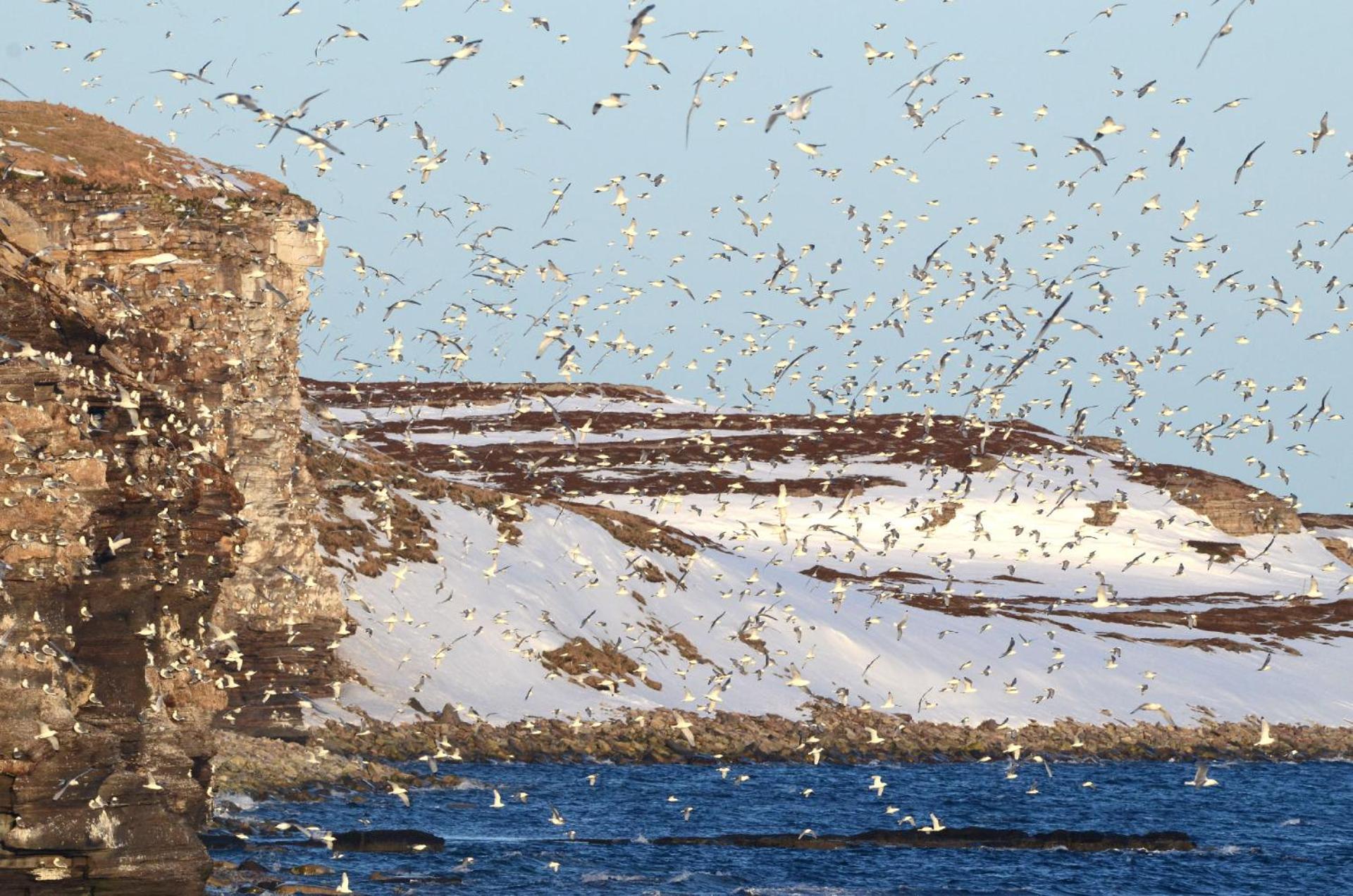 Hébergement de vacances Ekker Island Arctic *