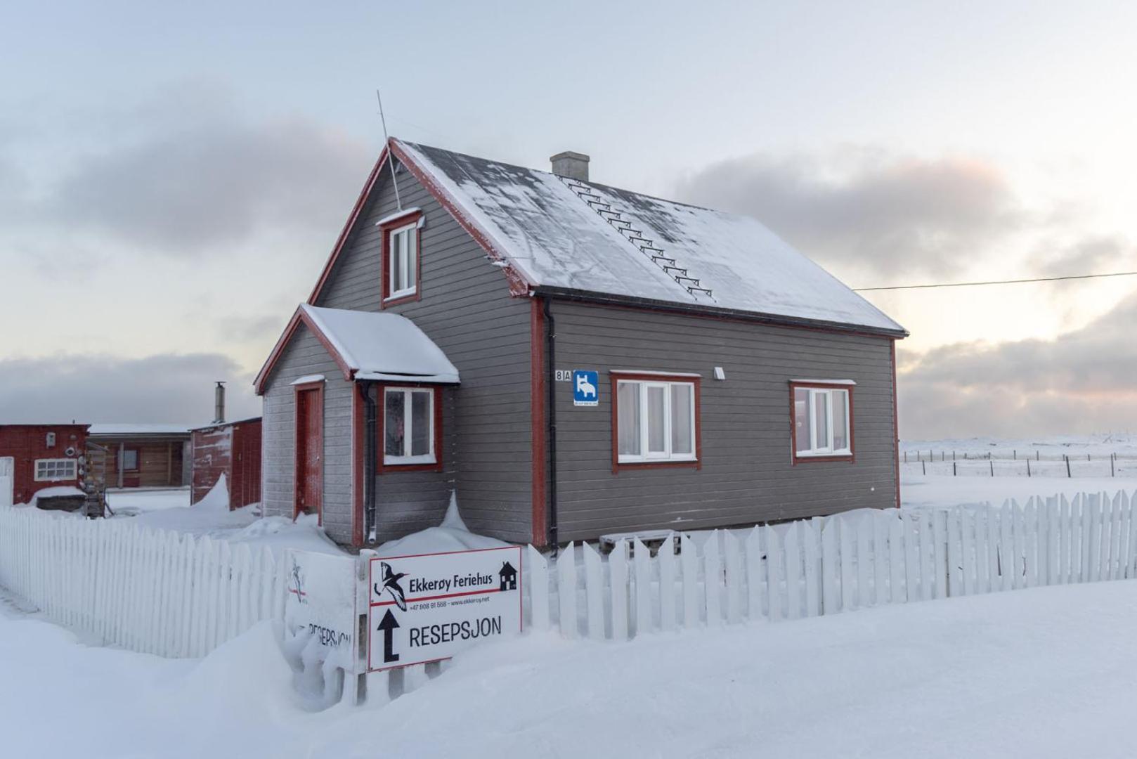 Ekker Island Arctic *