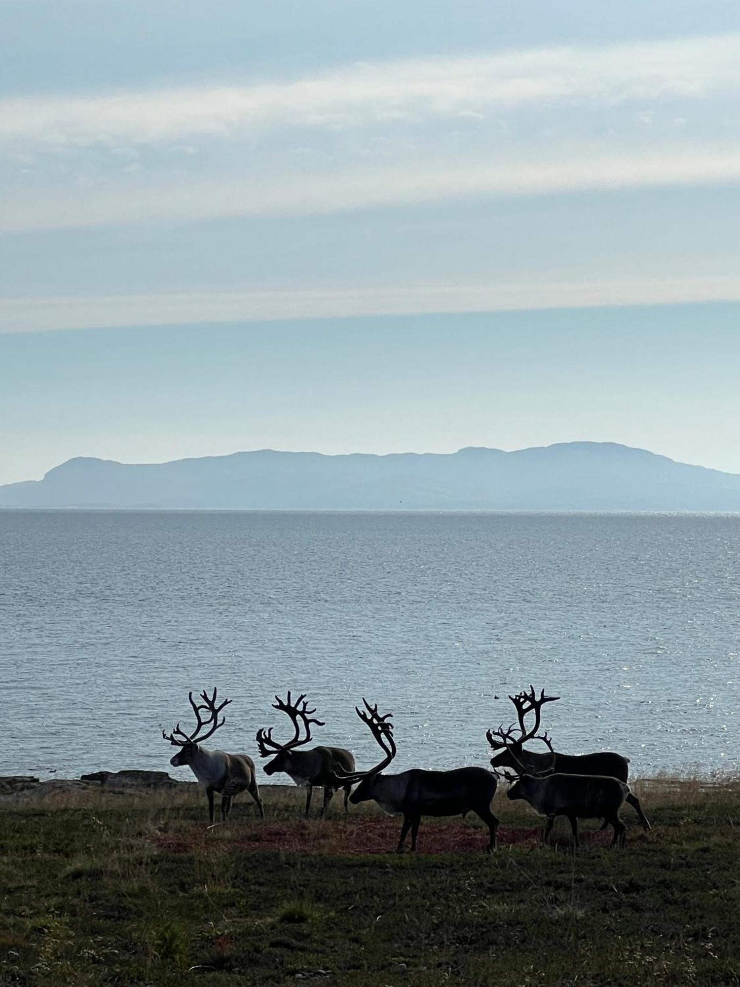 Ekker Island Arctic