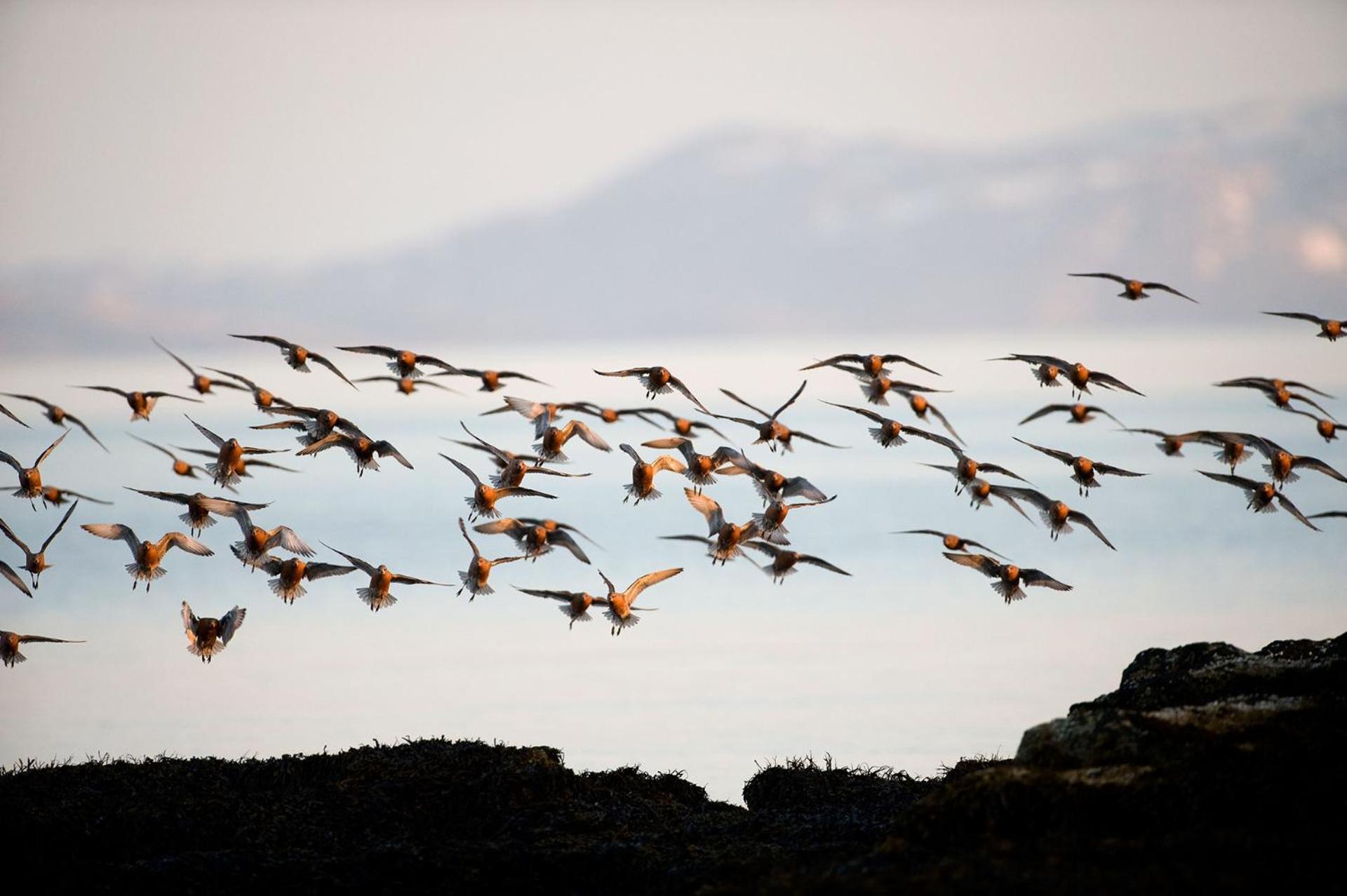 Hébergement de vacances Ekker Island Arctic