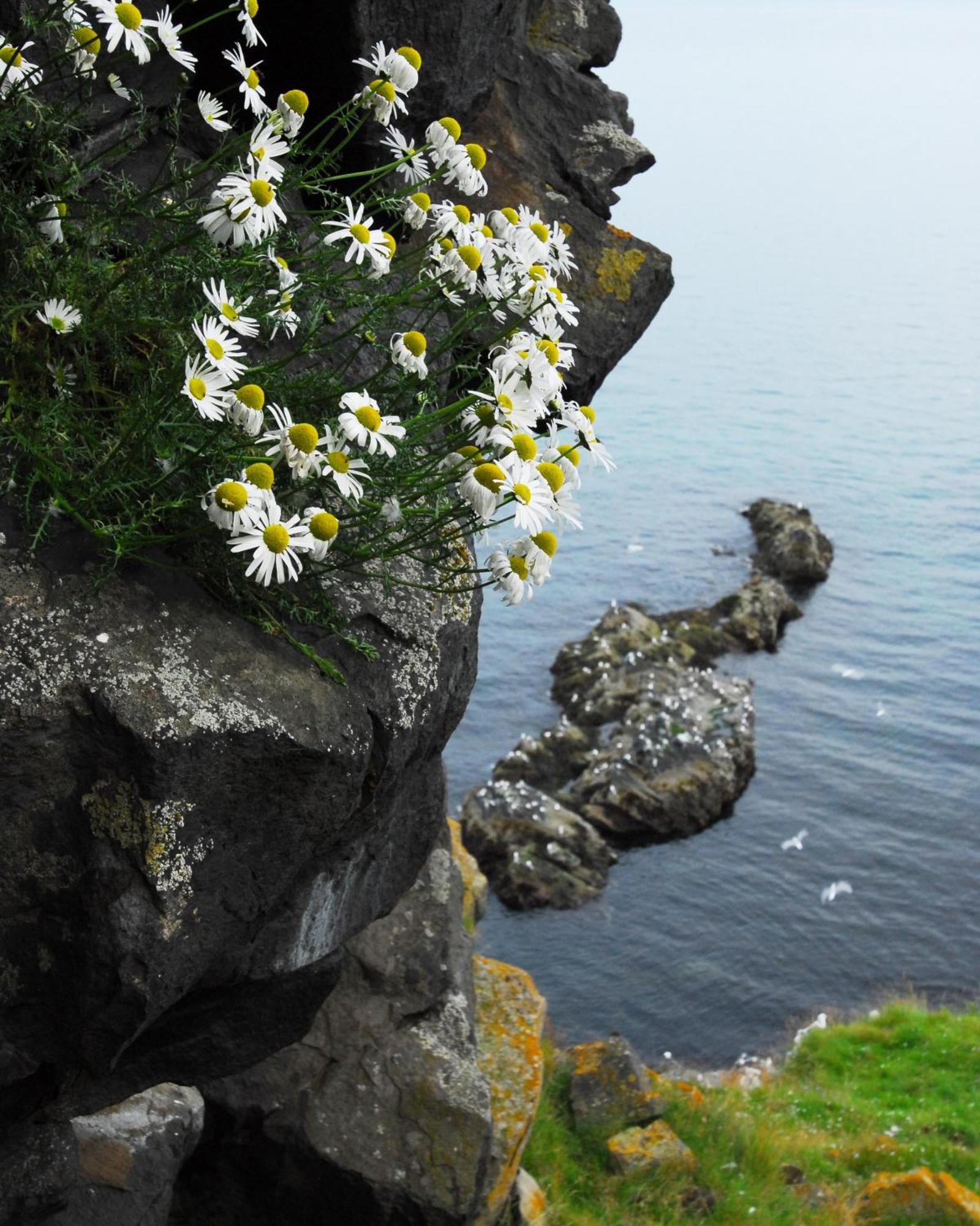 Ekker Island Arctic Hébergement de vacances Vadsø
