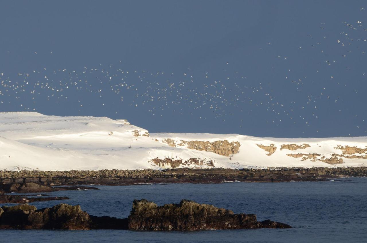 Casa vacanze Ekker Island Arctic