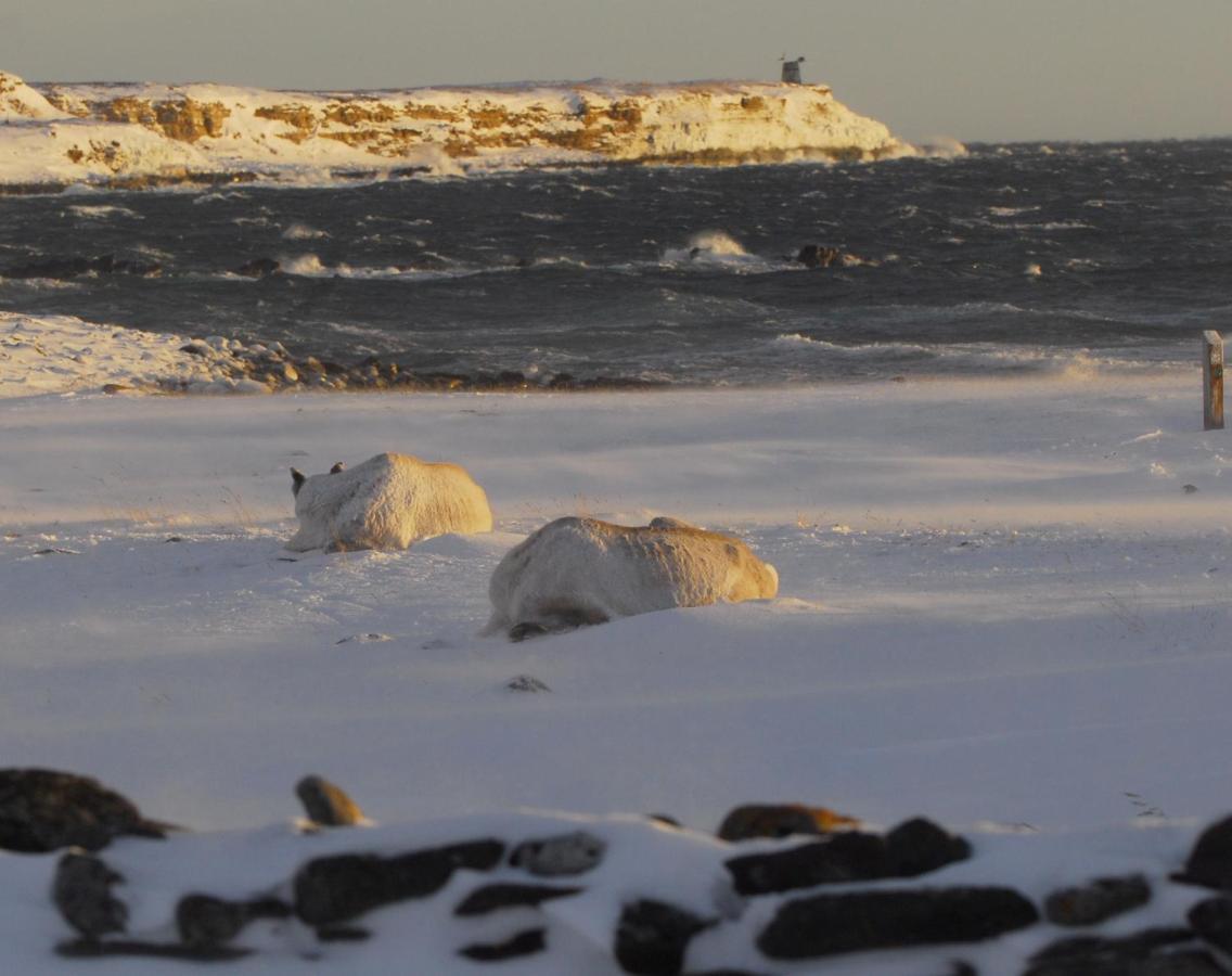 Casa vacanze Ekker Island Arctic