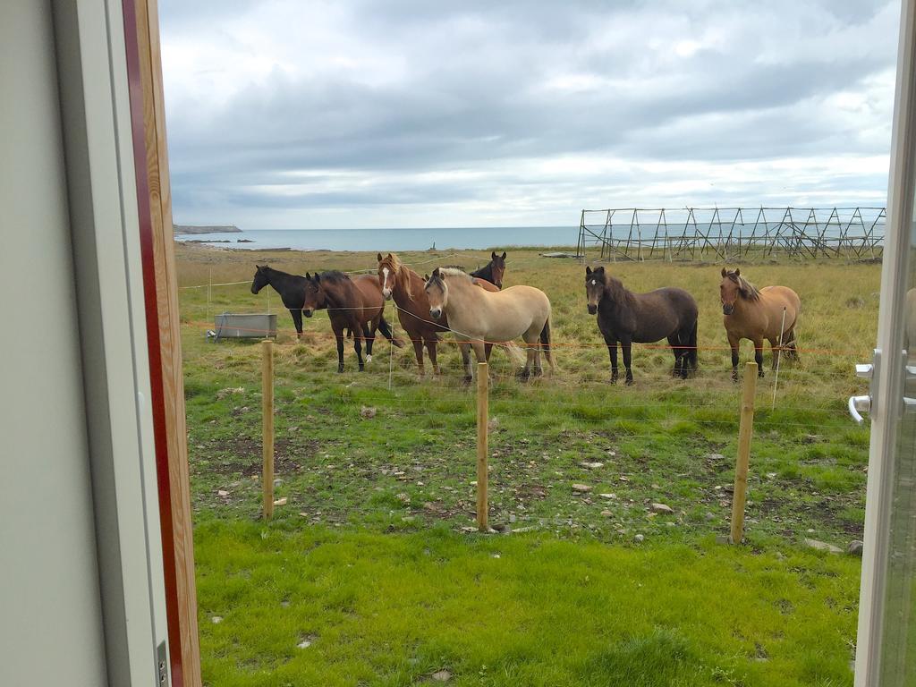 Ekker Island Arctic Vadsø